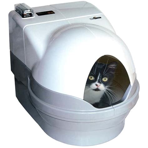 multi cat electric litter box|best litter for multiple cats.